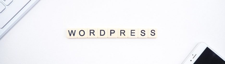 Een WordPress website updaten 3